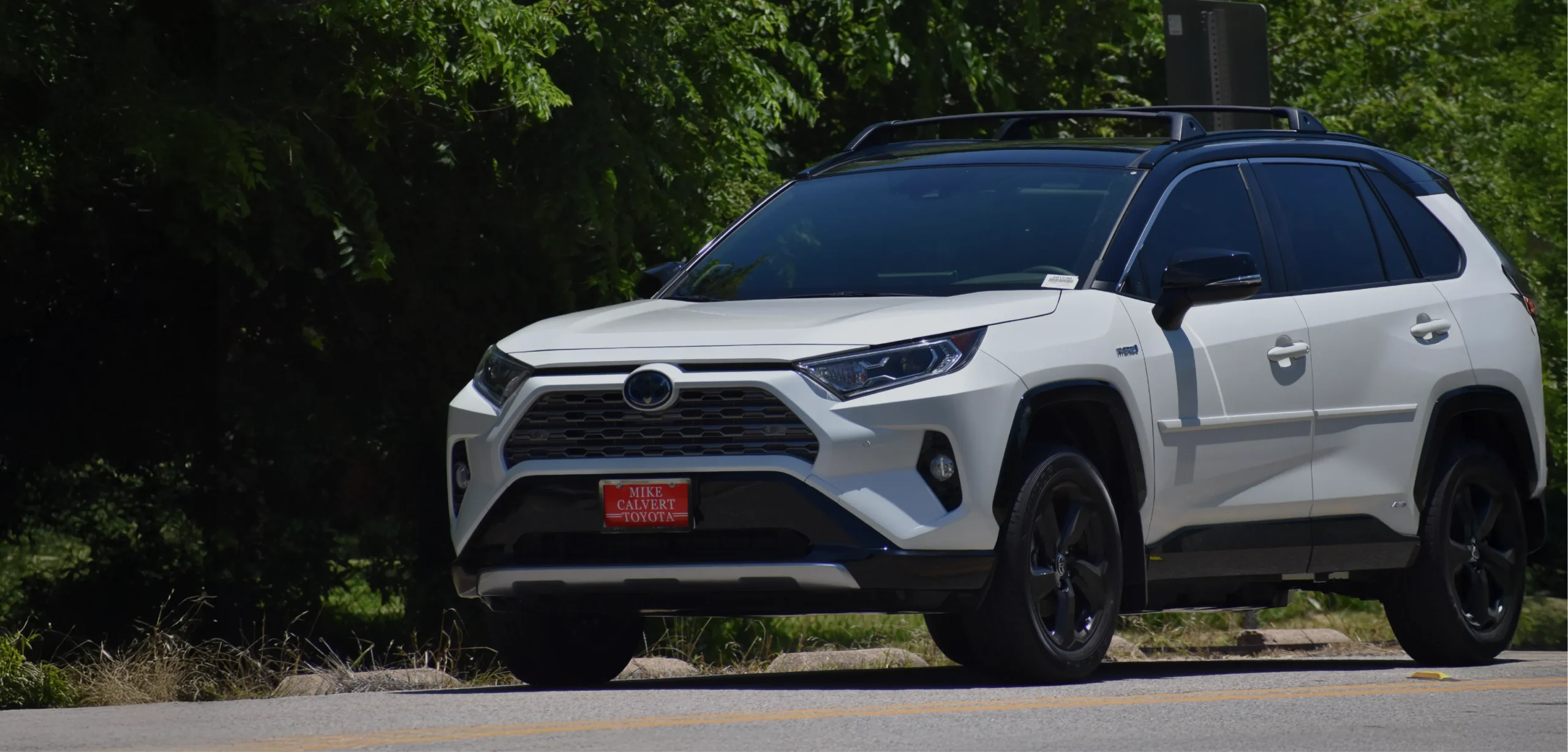 EA_Toyota_Header White Toyota